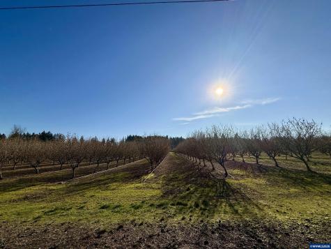 41792 Kingston Jordan Road SE Stayton OR 97383