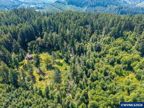 17016 Bratten Hill Alsea OR 97324