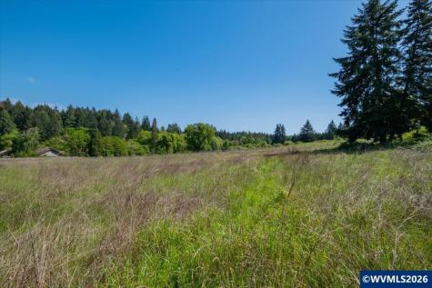 TA-MULTIPLE(3) Orchard Tract/shady Oak Monroe OR 97456