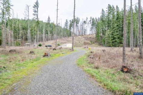 13087 S Butte Creek Road Scotts Mills OR 97375