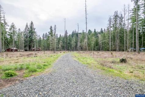 13087 S Butte Creek Road Scotts Mills OR 97375