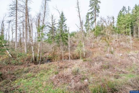 13087 S Butte Creek Road Scotts Mills OR 97375