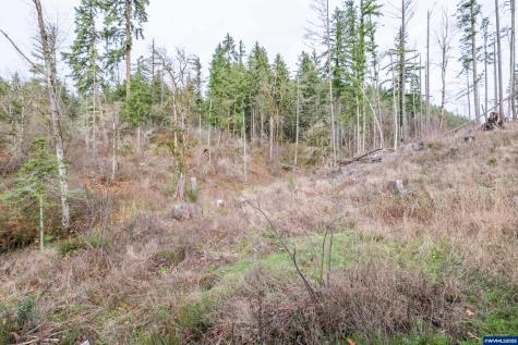 13087 S Butte Creek Road Scotts Mills OR 97375
