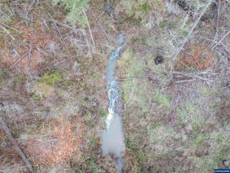 13087 S Butte Creek Road Scotts Mills OR 97375