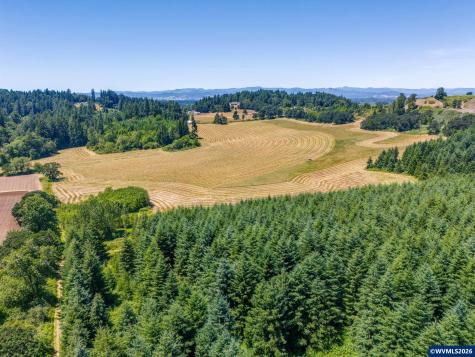 Lot 02400 SE Lafayette Highway Dayton OR 97114