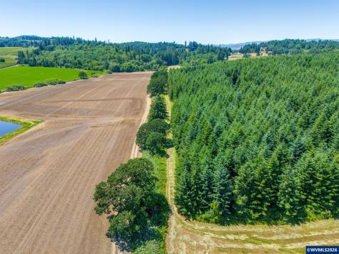 Lot 02400 SE Lafayette Highway Dayton OR 97114