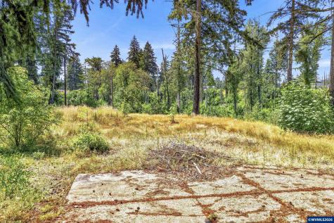 11133 Riverwood Drive SE Lyons OR 97358