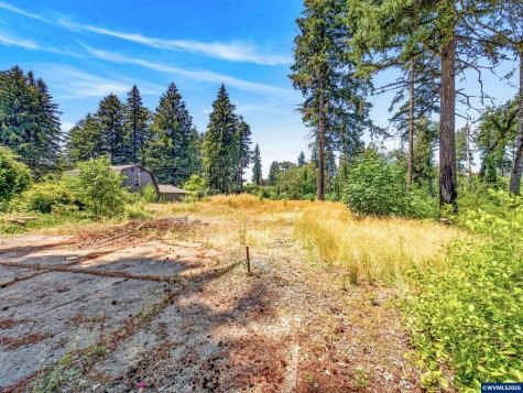 11133 Riverwood Drive SE Lyons OR 97358