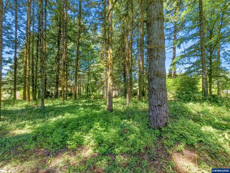 11133 Riverwood Drive SE Lyons OR 97358