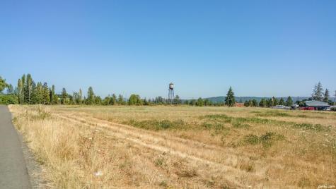 S Santiam (Lot #102) Highway Lebanon OR 97355