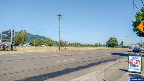 S Santiam (Lot #102) Highway Lebanon OR 97355