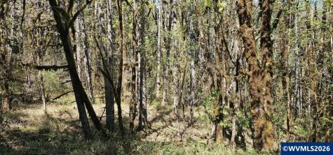 Lot 7 Iris Circle Philomath OR 97370