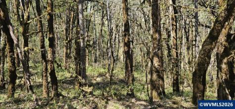 Lot 7 Iris Circle Philomath OR 97370