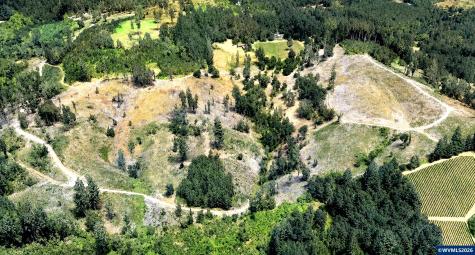 Lot 100 NW Orchardview Road Mcminnville OR 97128