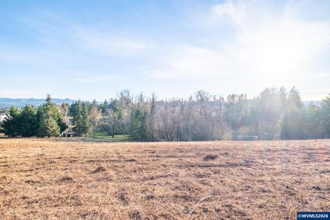 0 (TL 207) Ridgeview Lane Sweet Home OR 97386