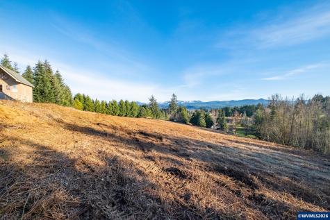 0 (TL 207) Ridgeview Lane Sweet Home OR 97386