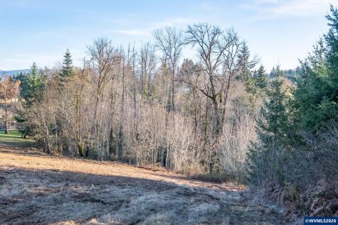 0 (TL 207) Ridgeview Lane Sweet Home OR 97386