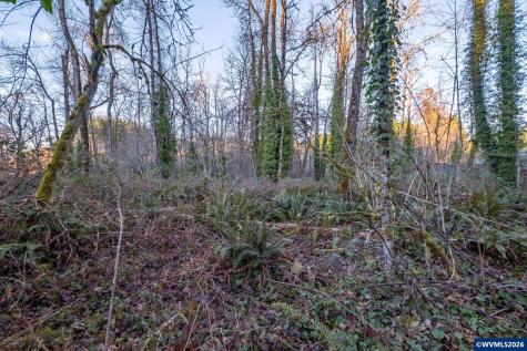 0 (TL 207) Ridgeview Lane Sweet Home OR 97386