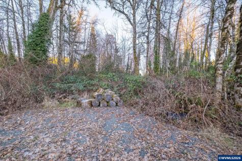 0 (TL 207) Ridgeview Lane Sweet Home OR 97386