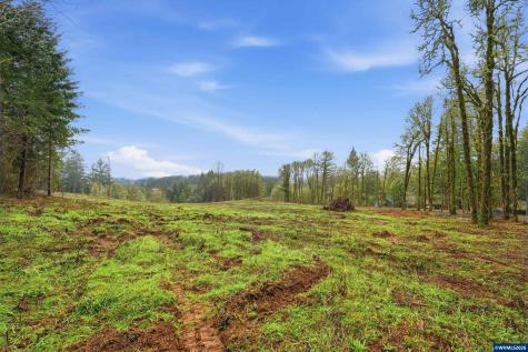 0 NW Berry Road Mcminnville OR 97128