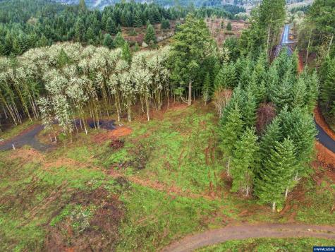 0 NW Berry Road Mcminnville OR 97128