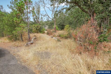 Block 1031 Sheep Head Road Brownsville OR 97327