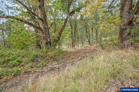Block 1031 Sheep Head Road Brownsville OR 97327