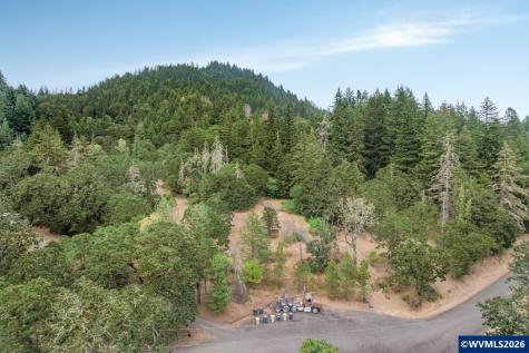 Block 1031 Sheep Head Road Brownsville OR 97327