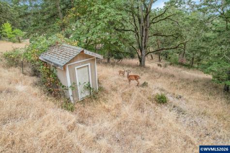 Block 1031 Sheep Head Road Brownsville OR 97327