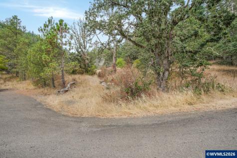 Block 1031 Sheep Head Road Brownsville OR 97327