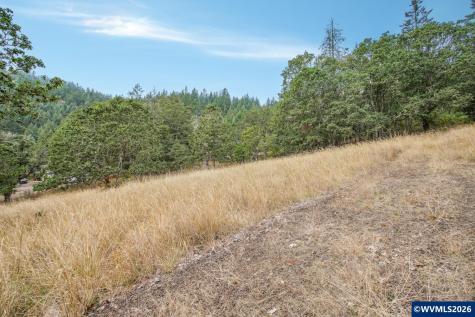 Block 1031 Sheep Head Road Brownsville OR 97327