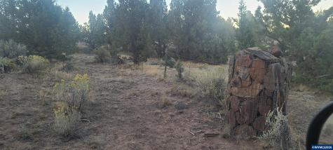 Ta 16150 Central Oregon Highway Riley OR 97758