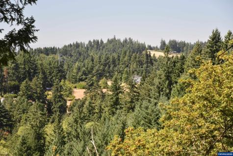 00 Mountain Road West Linn OR 97068