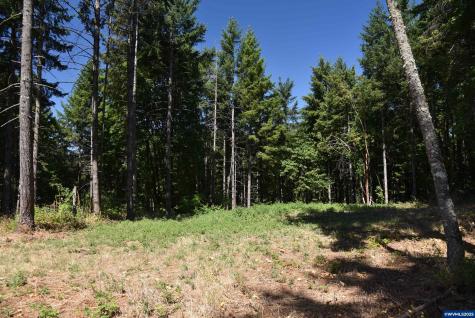00 Mountain Road West Linn OR 97068