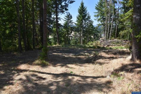 00 Mountain Road West Linn OR 97068
