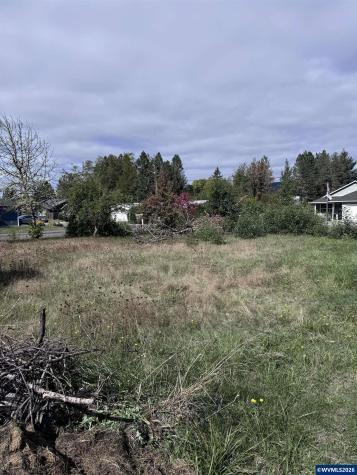 Airport( Tax Lot 238945) Lane Sweet Home OR 97386