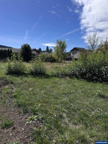 Airport( Tax Lot 238945) Lane Sweet Home OR 97386