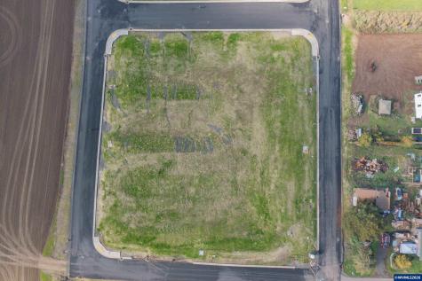 Lot 1 Block 7 W Grant Street Carlton OR 97111