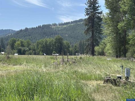 70452 Bear Creek Road Wallowa OR 97885