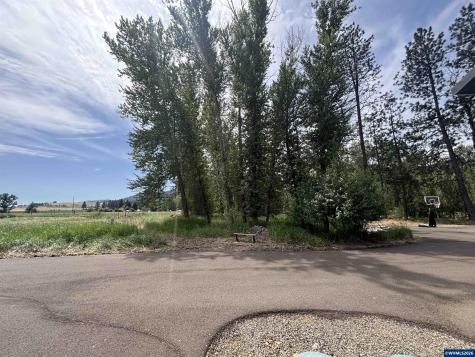 70452 Bear Creek Road Wallowa OR 97885