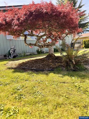 560 Maple Street Aumsville OR 97325
