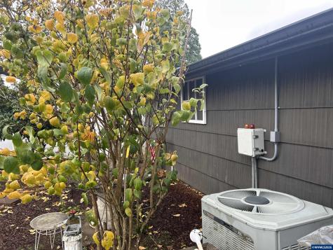 8550 Aumsville Highway SE Salem OR 97317