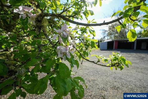2035 Primrose Lp Philomath OR 97370