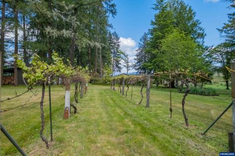 40000 Fir Oaks Lane Lebanon OR 97355