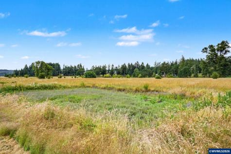 43417 Thomas Creek Drive Scio OR 97374