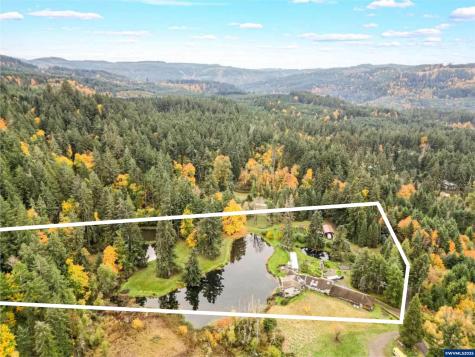 4300 Briar Knob Lp NE Scotts Mills OR 97375