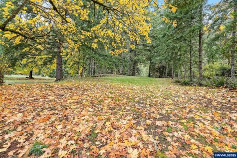 4300 Briar Knob Lp NE Scotts Mills OR 97375