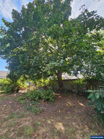 427 NE Yamhill Street Sheridan OR 97378