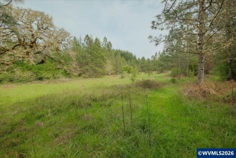 26825 Old Holley Road Sweet Home OR 97386