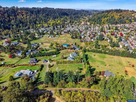 4171 Delightful Lane NE Silverton OR 97381